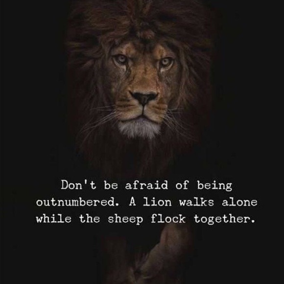 Meet your Posher, Stephanie - Picture 1 of 1